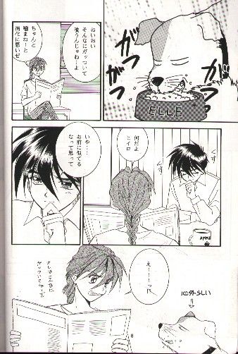 (C51) [りんご財団, 白河夜船連合 (彩葉みどり, 火紋ゆうき)] SNOW GARDEN (ガンダムW)