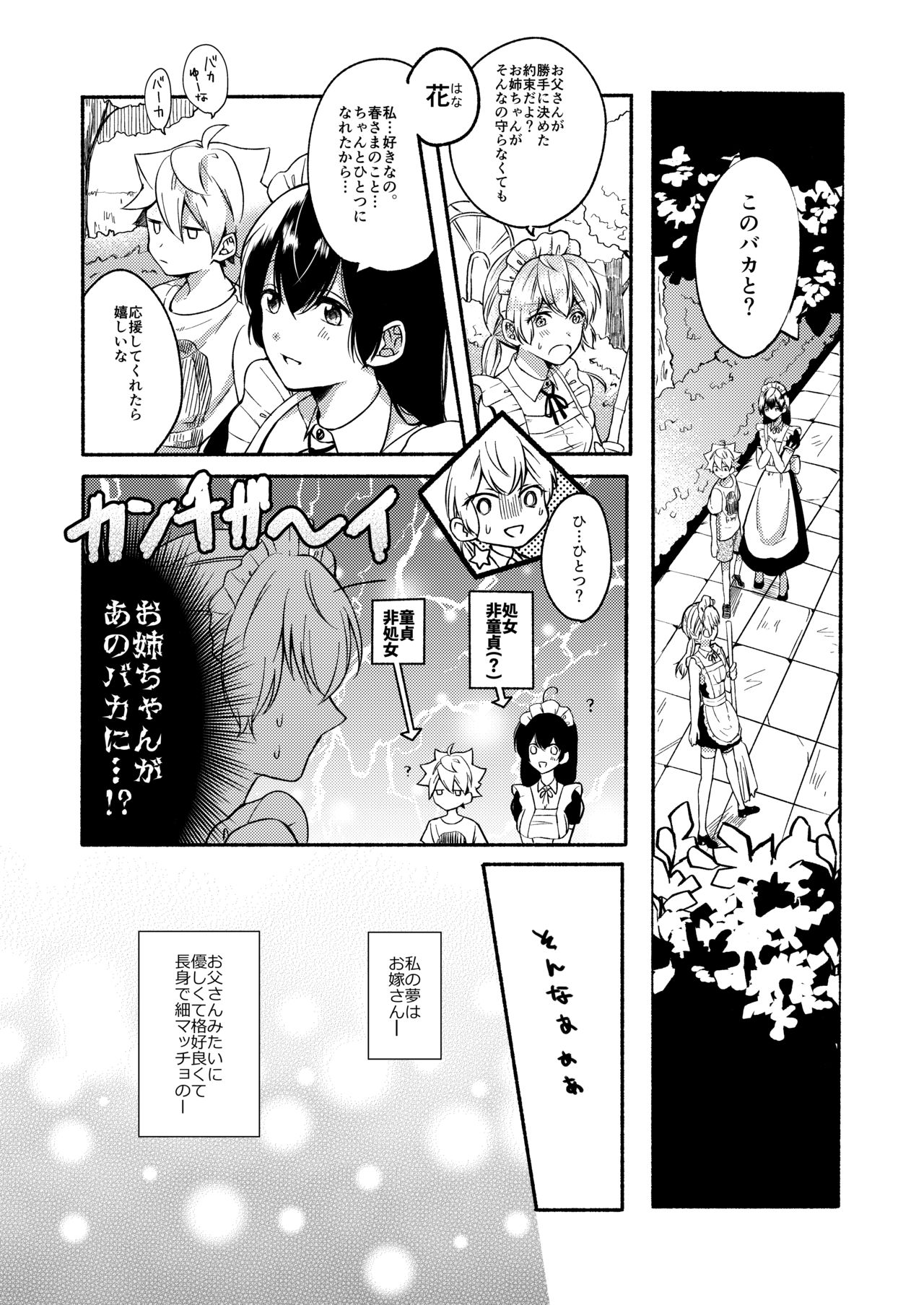 [散る国 (小中えみ)] お姉ちゃんと僕の開発性活 総集編 [DL版]