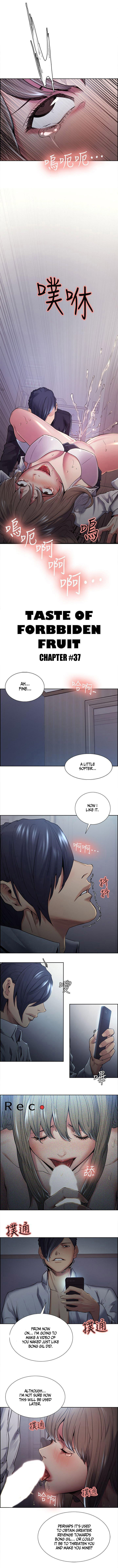 [Serious] Taste of Forbbiden Fruit Ch.37/53 [英訳]