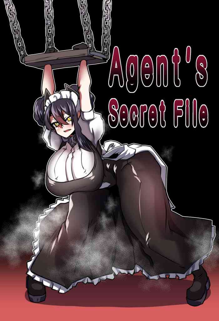 (H_earth)Agent's Secret File (少女前線) (H_earth)Agent's Secret File (少女前線)