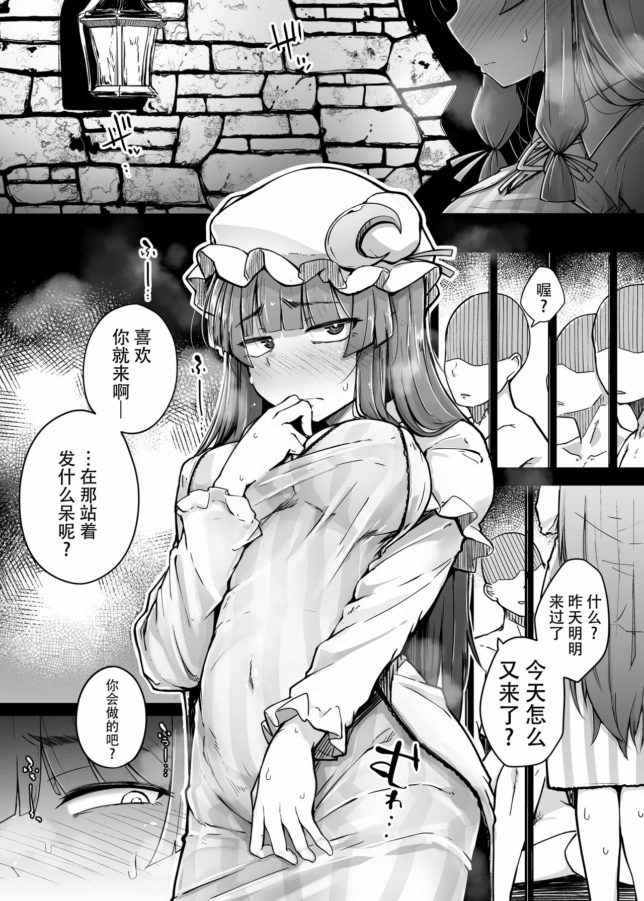 [自家発電処 (flanvia)] 穴とむっつりどすけべだいとしょかん 3 (東方Project) [中国翻訳] [DL版]