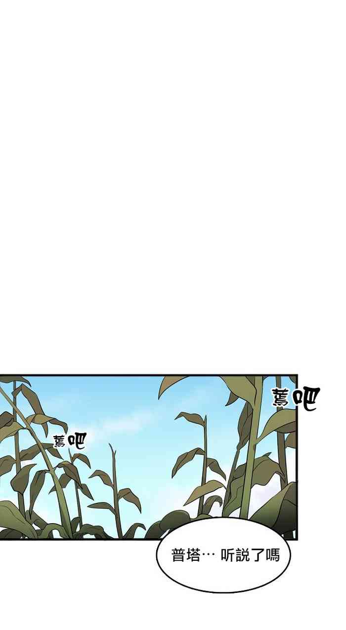 왕의 감자 왕의 감자