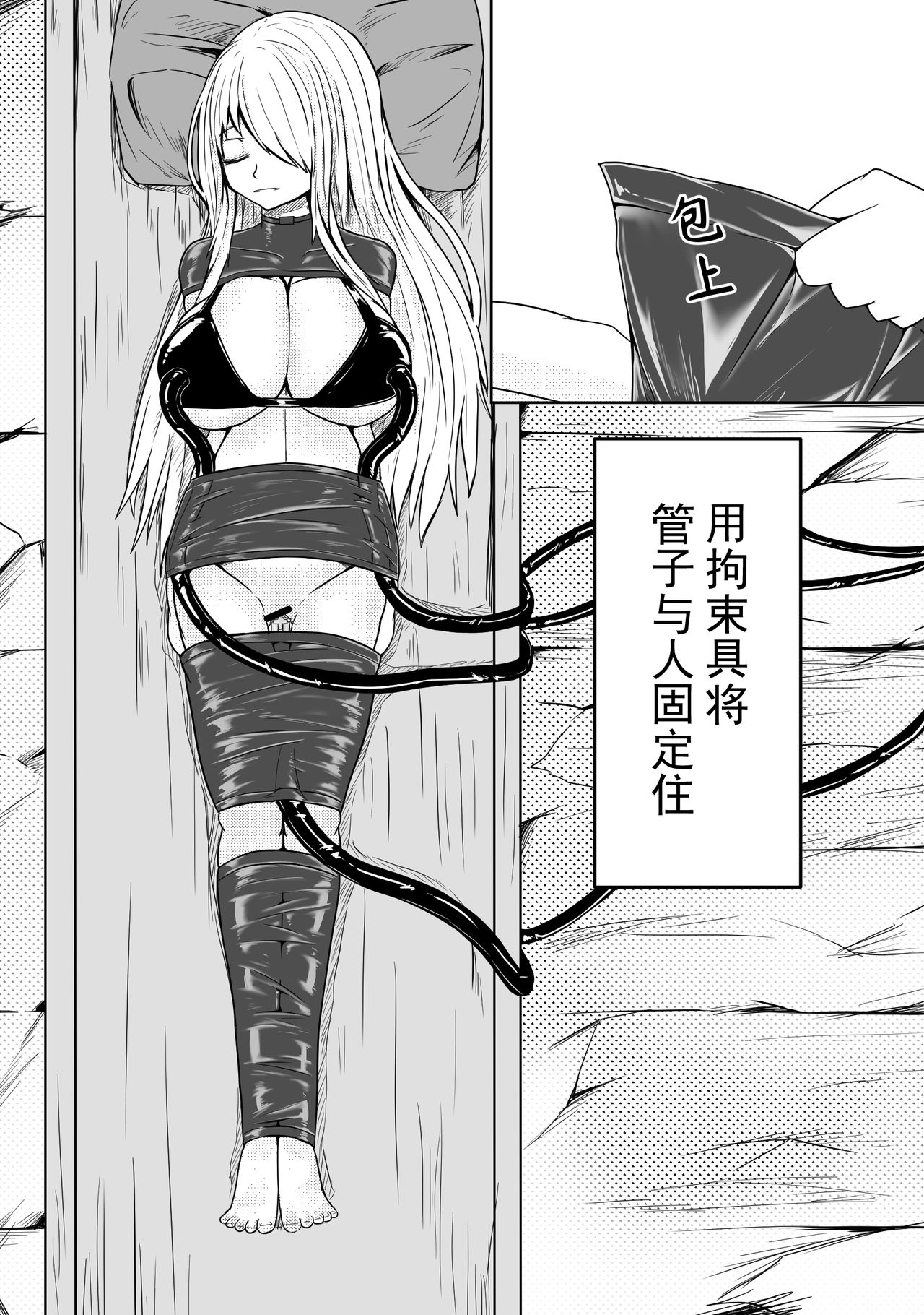 指引的低语14