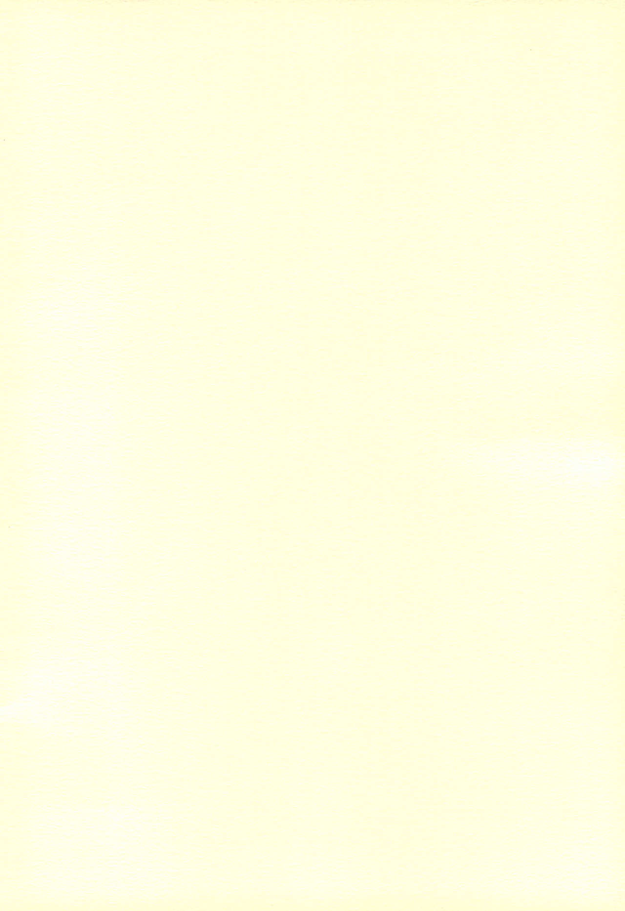 (リリカルマジカル) [こねこのまんま (水添水鶏)] 魔法少女は災難なの (魔法少女リリカルなのは)