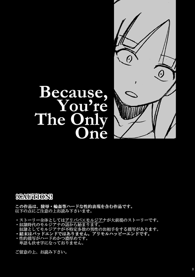 [atelier Bucha] Because, You’re The Only One (マギ) [DL版]