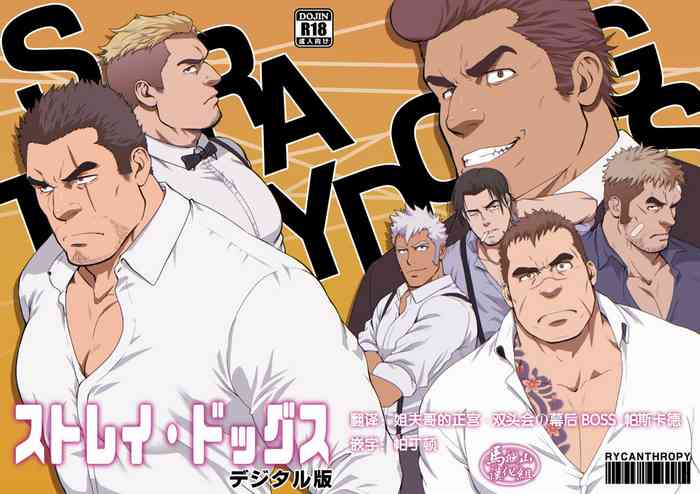 [Rycanthropy (水樹凱)] ストレイ・ドッグス [中国翻訳] [DL版]