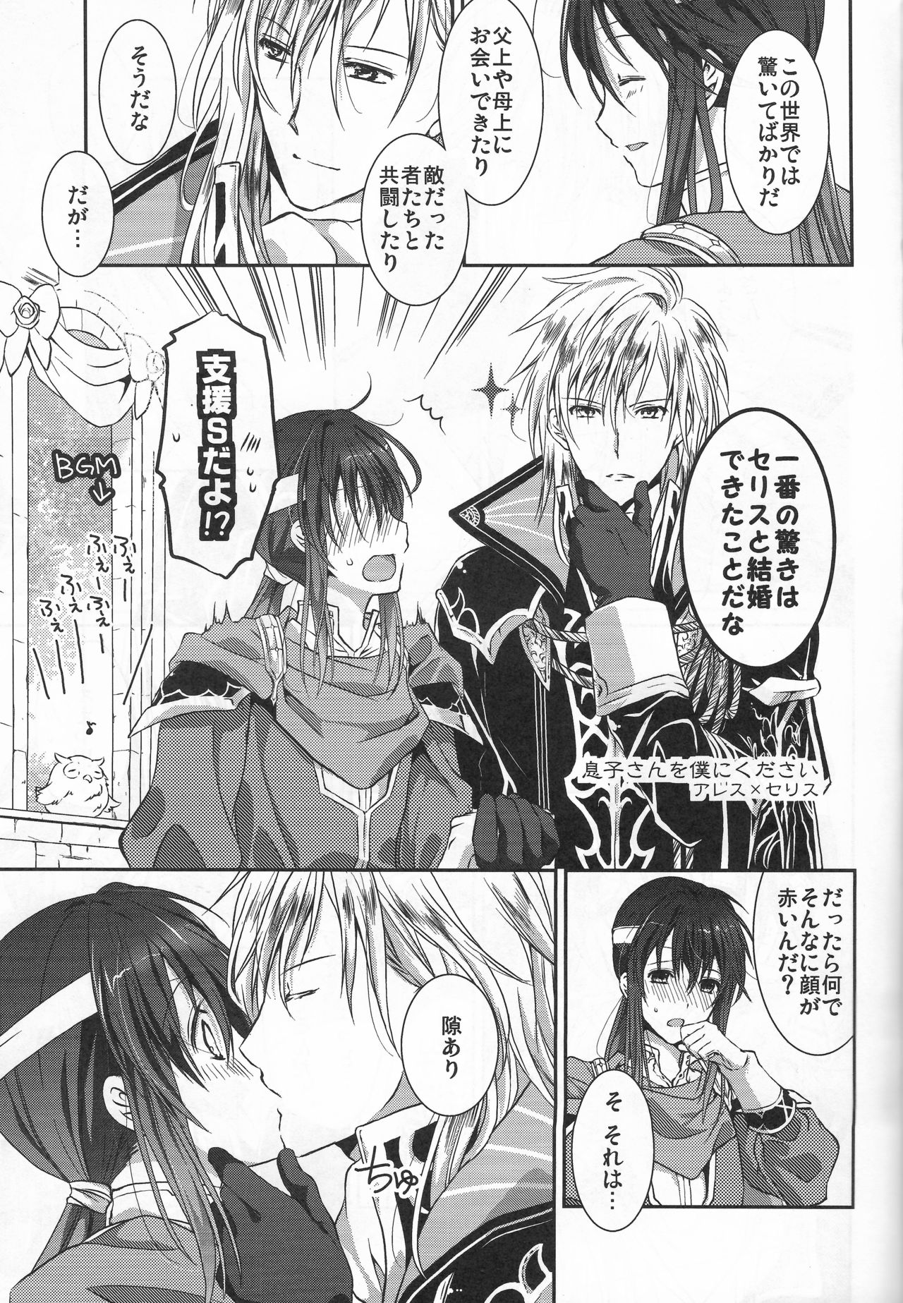 (C95) [双暦 (白雪しおん)] 星が呼ぶ扉の向こう (ファイアーエムブレムヒーローズ)
