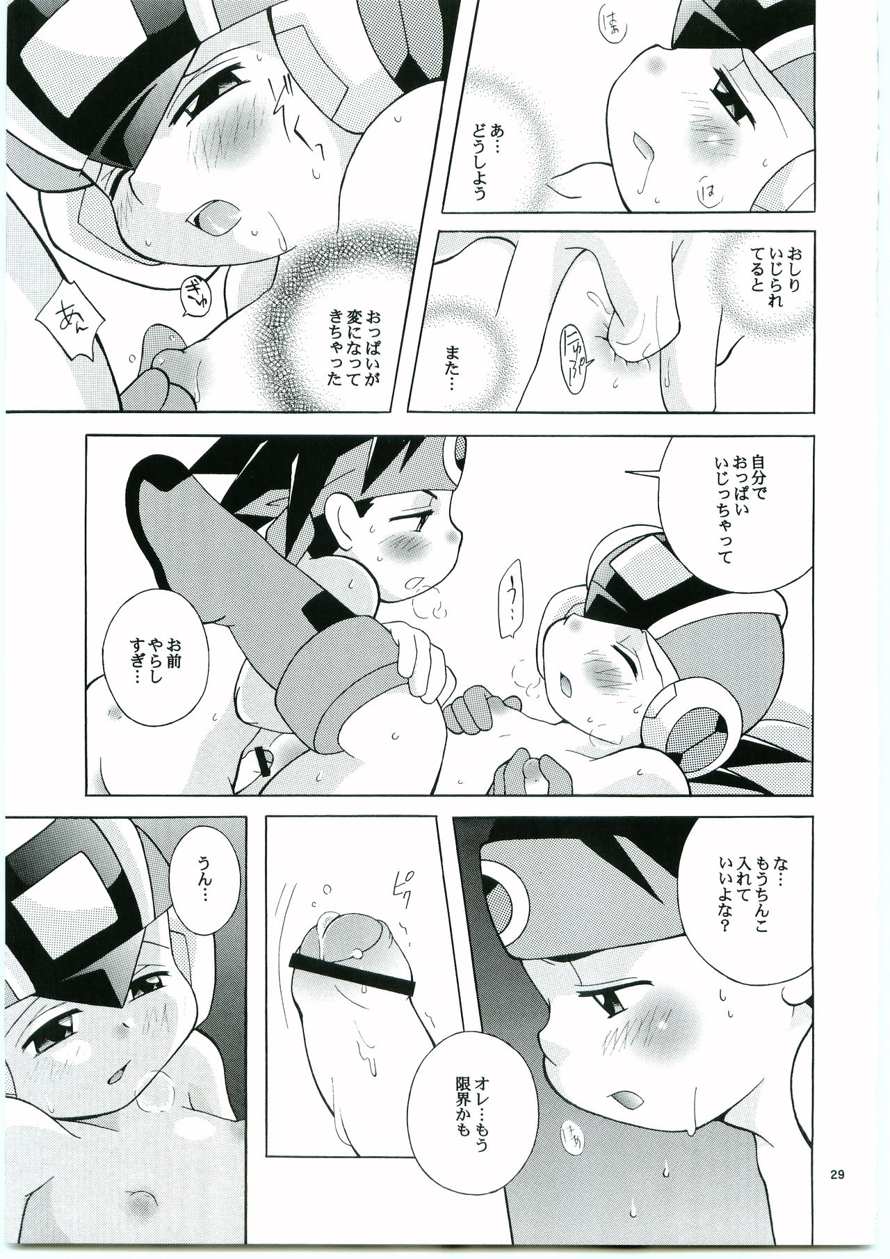 [腹黒天使 (なるかみ)] DOLCE LATTE (ロックマンエグゼ)