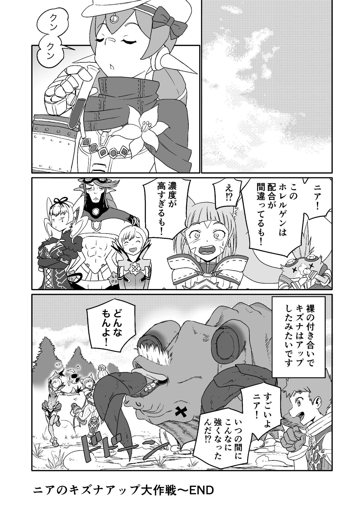 [いのり堂 (いのり)] BLADE SET 2 (ゼノブレイド2) [DL版]