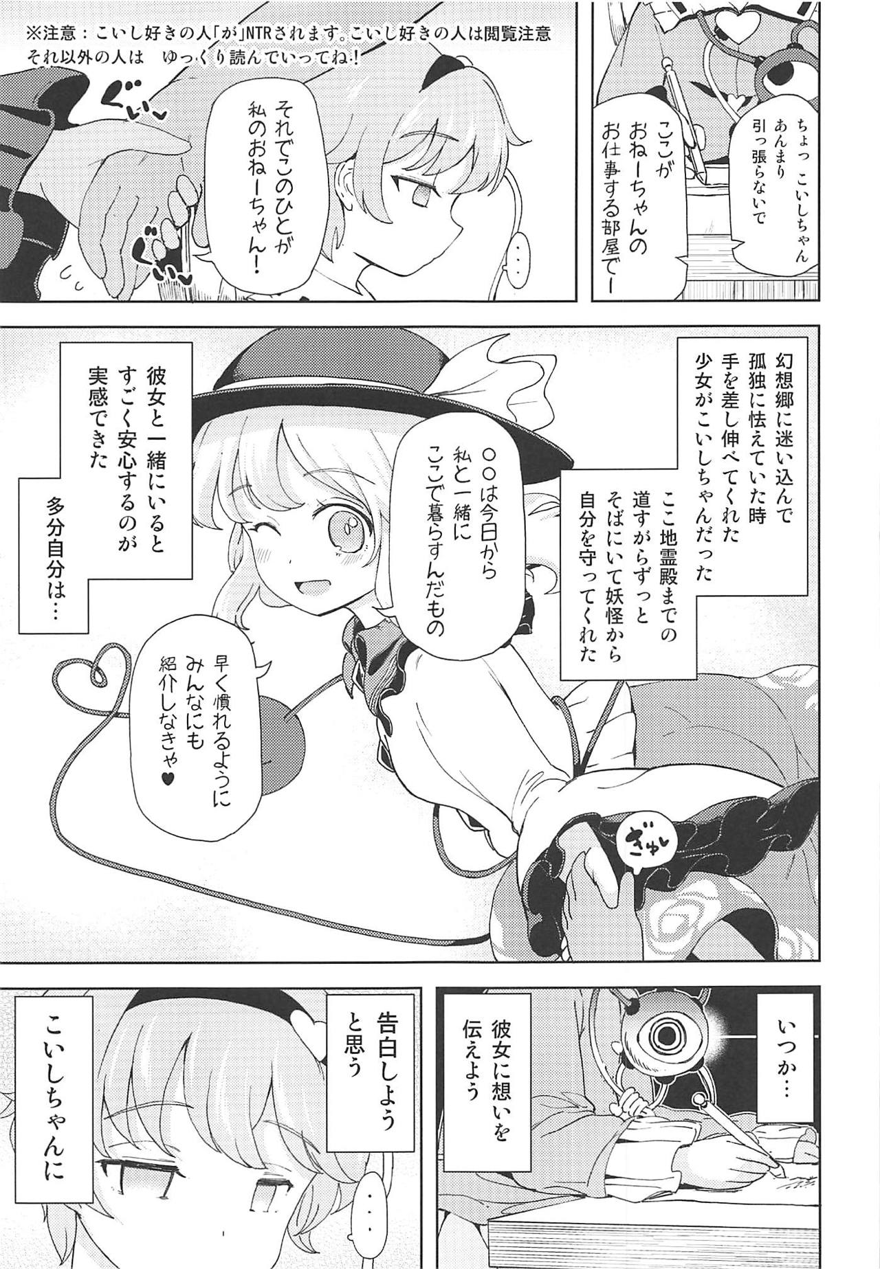 (例大祭16) [ひめぷち亭 (ハマブリッチ)] こいしちゃんに謝りながらさとりお姉ちゃんの中にいっぱい射精する本 古明地ねとり (東方Project)