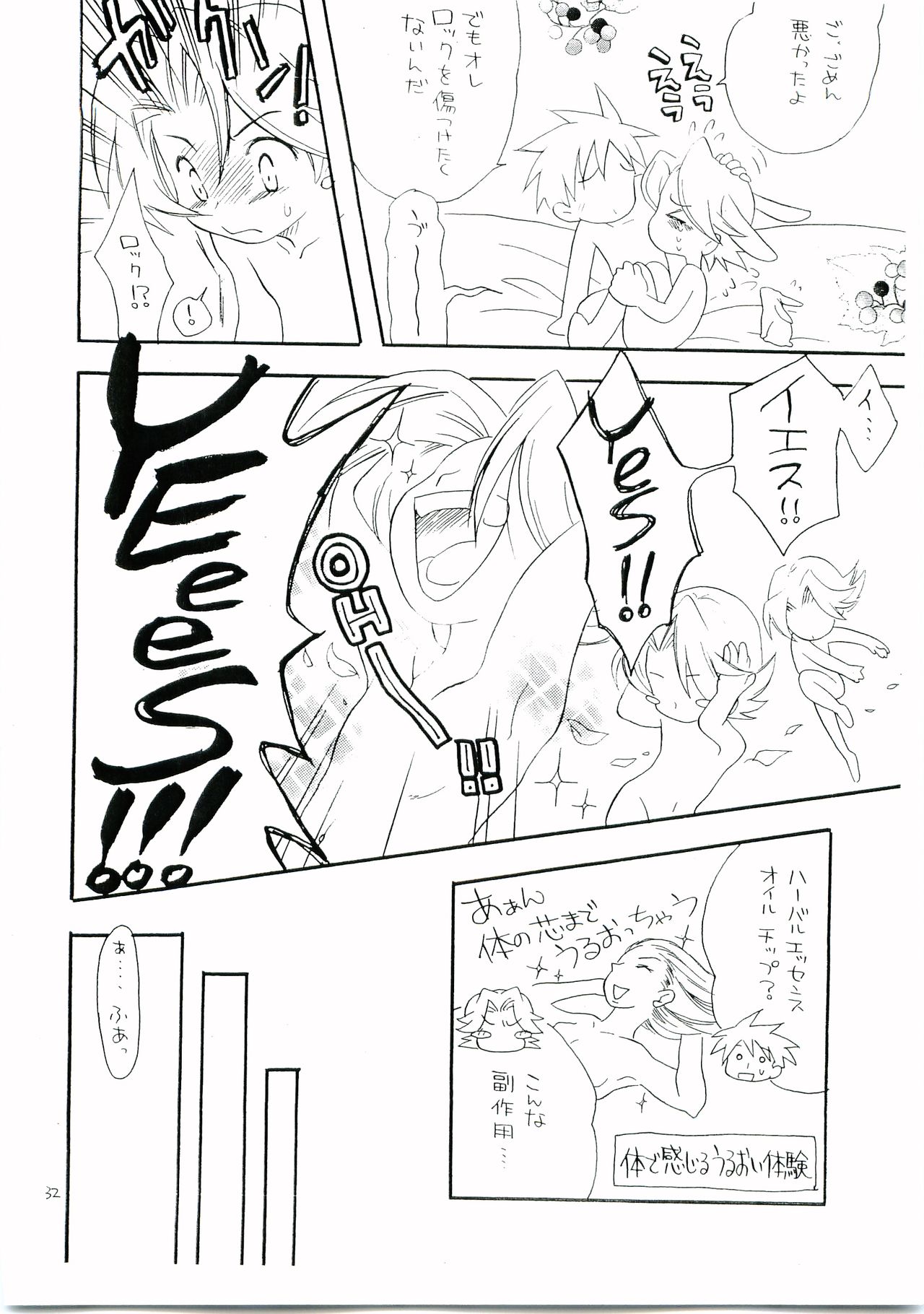 [光納豆 (彦太)] 有危熱斗で作った国産無添加熱ロク本不自然な味 (ロックマンエグゼ)