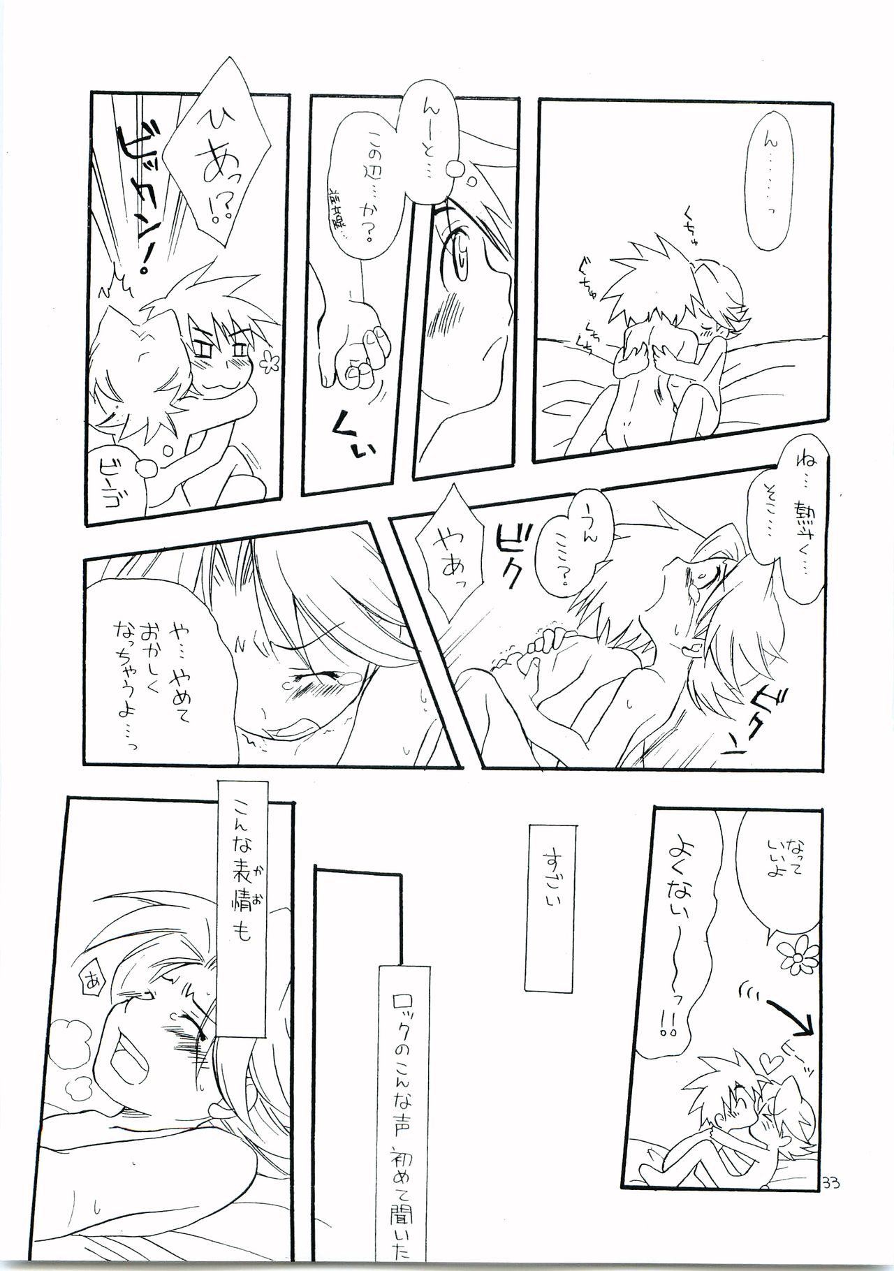 [光納豆 (彦太)] 有危熱斗で作った国産無添加熱ロク本不自然な味 (ロックマンエグゼ)