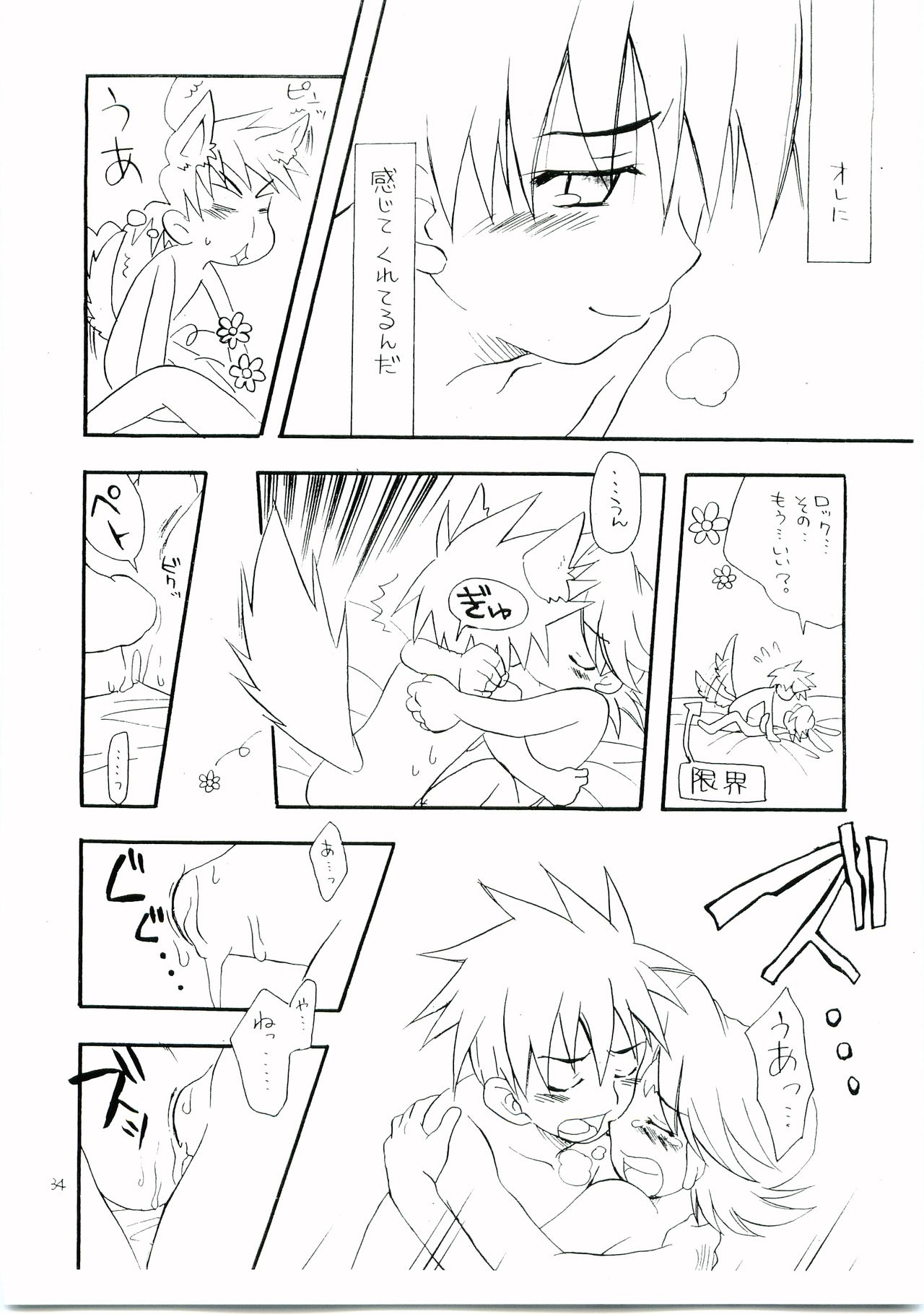 [光納豆 (彦太)] 有危熱斗で作った国産無添加熱ロク本不自然な味 (ロックマンエグゼ)