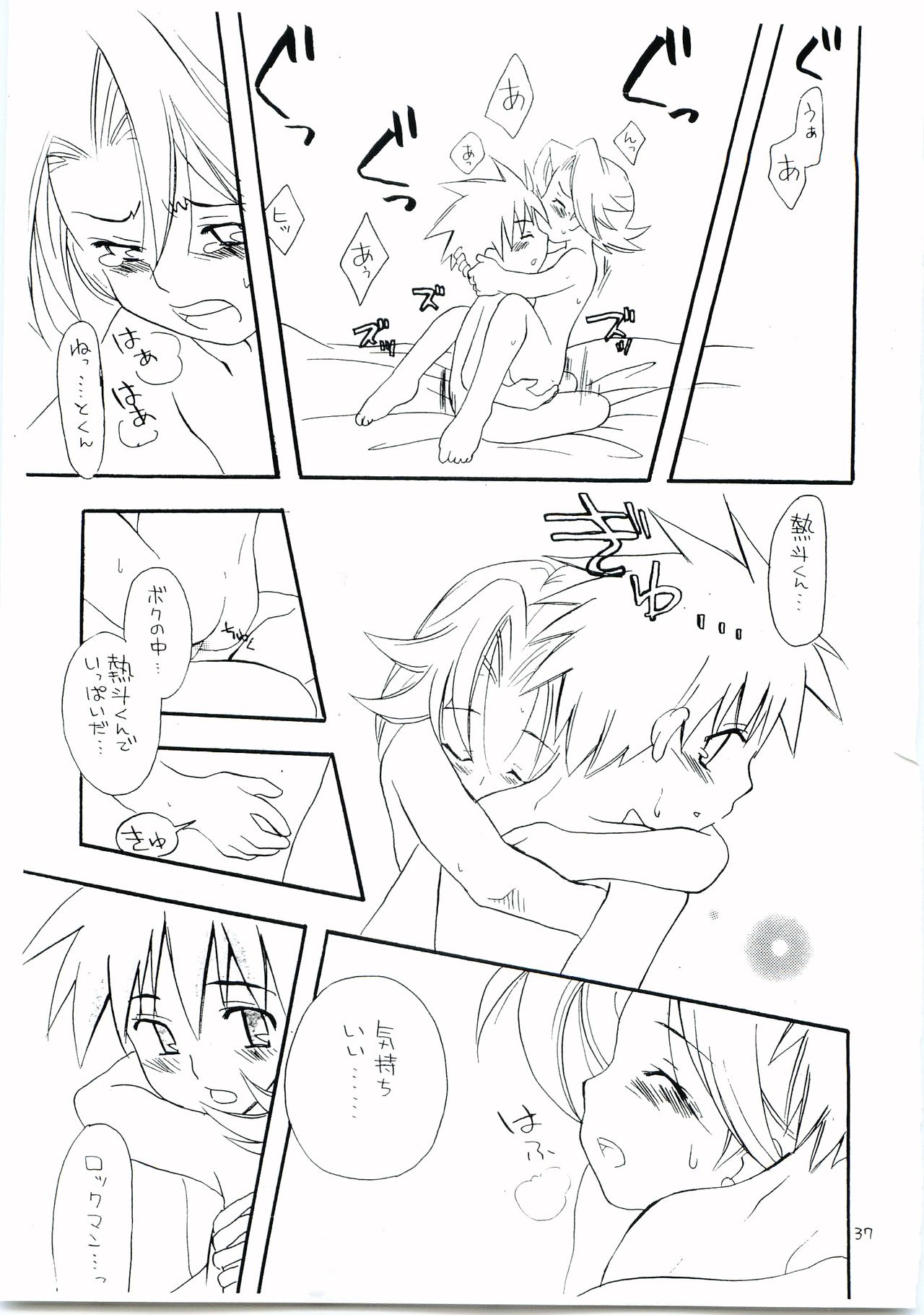 [光納豆 (彦太)] 有危熱斗で作った国産無添加熱ロク本不自然な味 (ロックマンエグゼ)