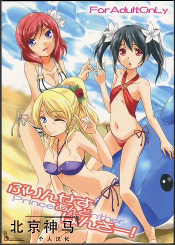 (C84) [ストラトスフィア (ウルツ)] ぷりんせすあんどぱんさー! (ラブライブ!)[中国翻訳]