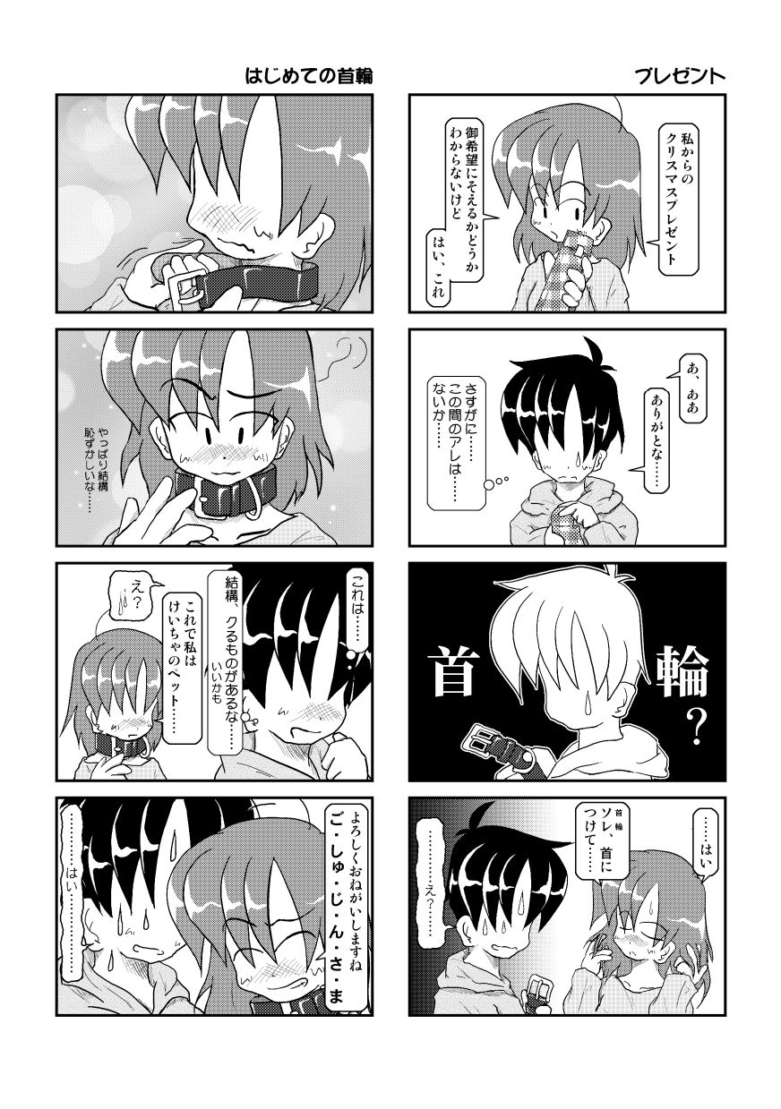 (同人誌) [無名芸] 首輪日記 3