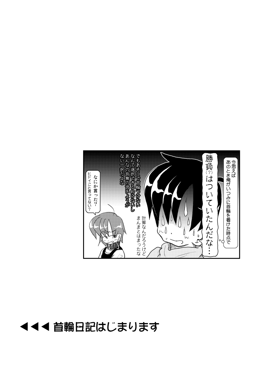 (同人誌) [無名芸] 首輪日記 3