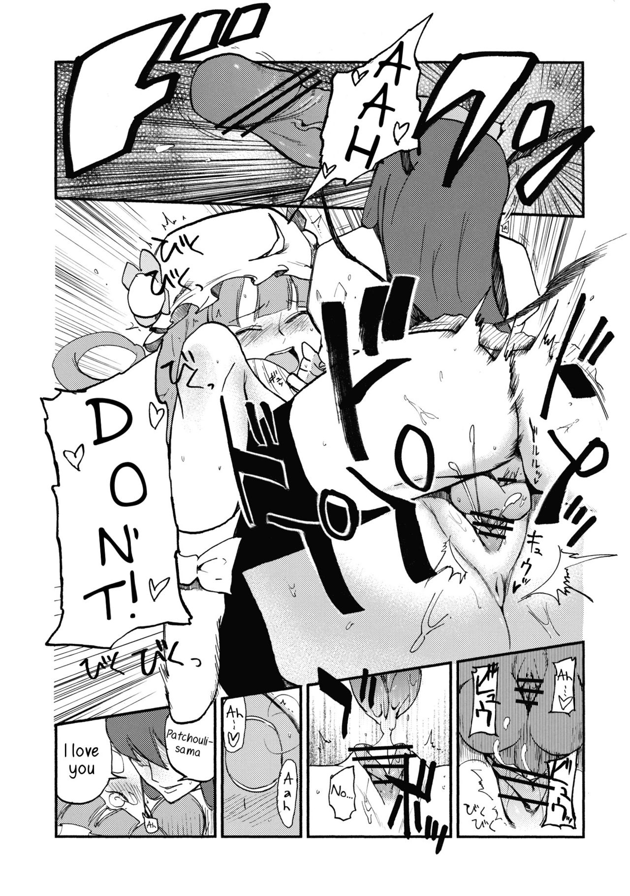 (C80) [白ネギ屋 (miya9)] ワイセツ図書館 (東方Project) [英訳]