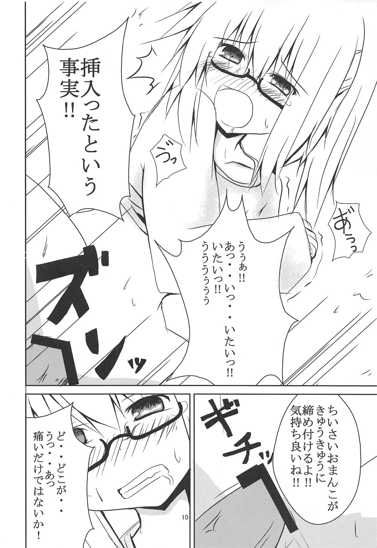 (例大祭9) [とりめし (二条マコト)] ふとちゃんに色々しよう (東方Project)