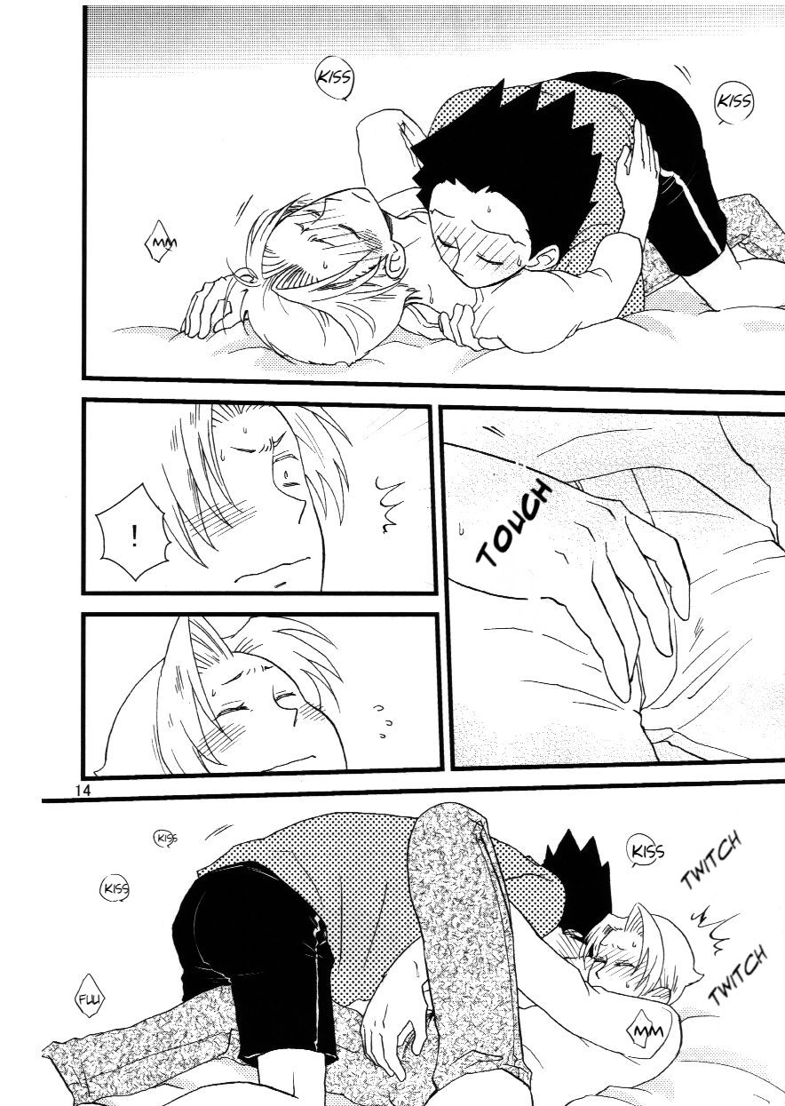 (C82) [メテオラ (硫酸)] Iron Maiden (逆転裁判) [英訳]