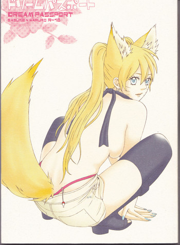 (C75) [PIERRE (瓦落多装置)] ドリームパスポート (NARUTO -ナルト-) [英訳] [進行中]