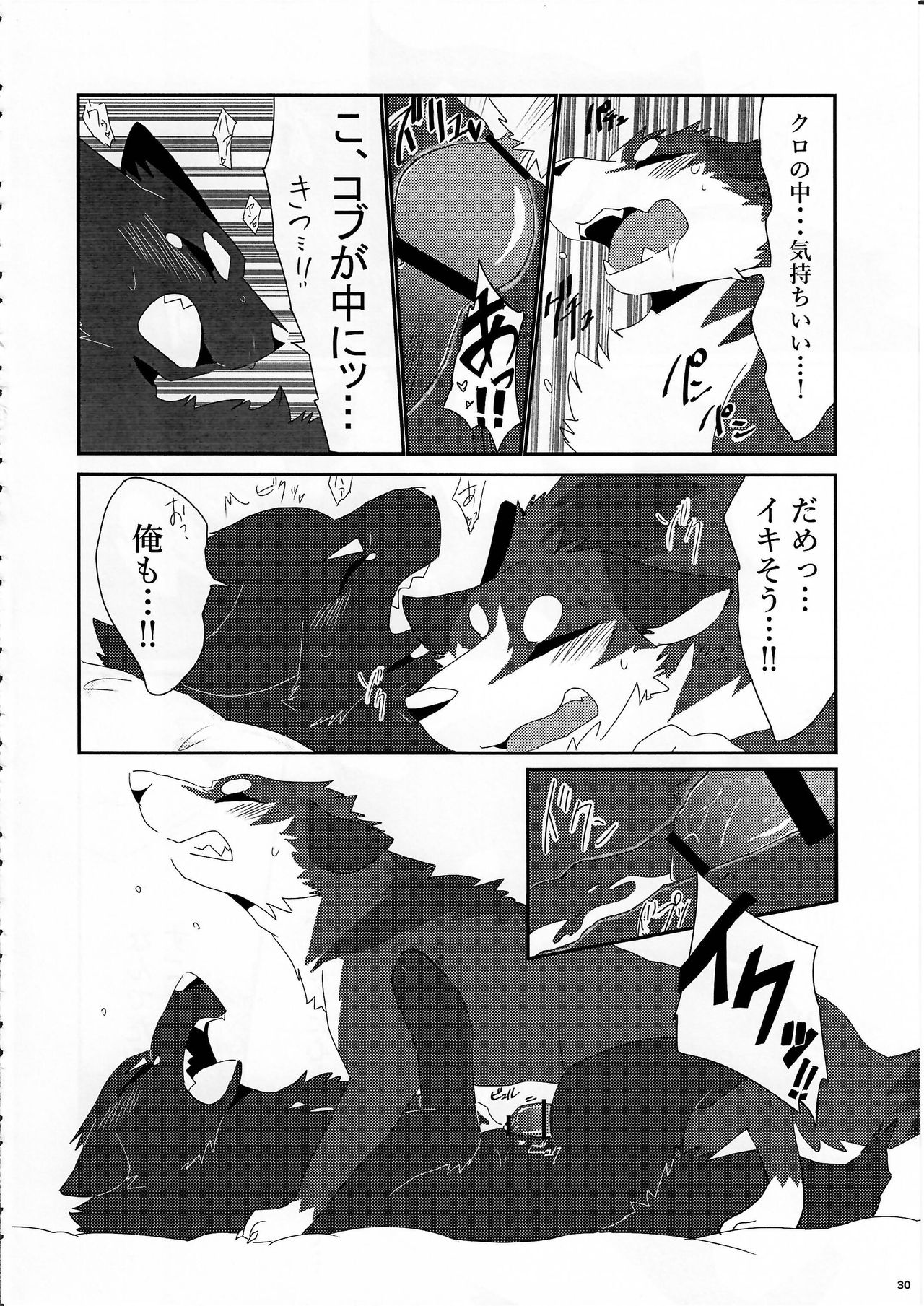 (けもケット5) [KTQ48 (よろず)] KTQ10