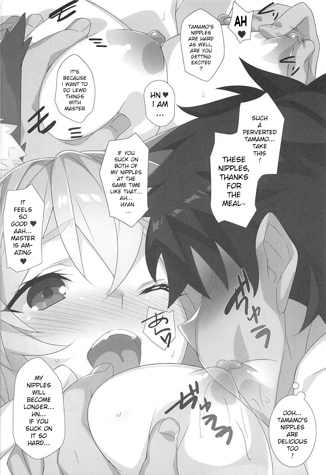 (COMIC1☆11) [小糸創作所 (ひなた睦月)] 花見酒 (Fate/Grand Order) [英訳]