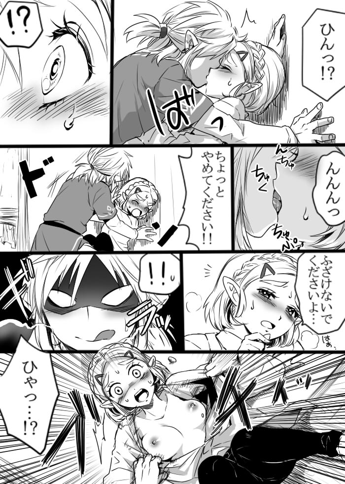 [わさび] 安全で健全なおくすりを飲もう！ (ゼルダの伝説 ブレス オブ ザ ワイルド)