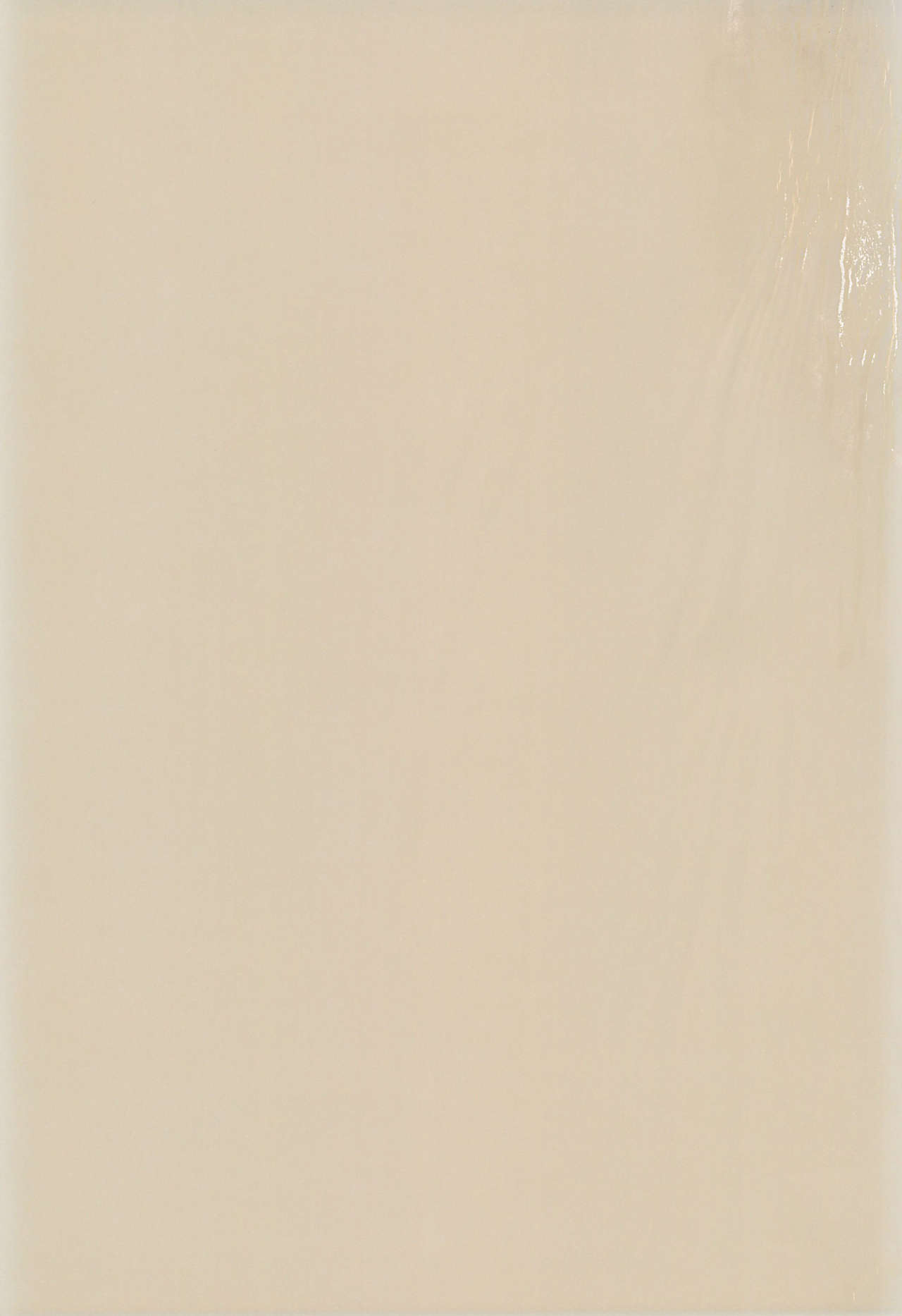 (C60) [テニーレ隊 (あーる・こが、EFINK)] 世界で一番ねこメイド