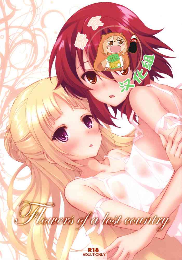 (C91) [セブンデイズホリディ (篠川あるみ、古我望)] Flowers of a lost country (終末のイゼッタ) [中国翻訳]