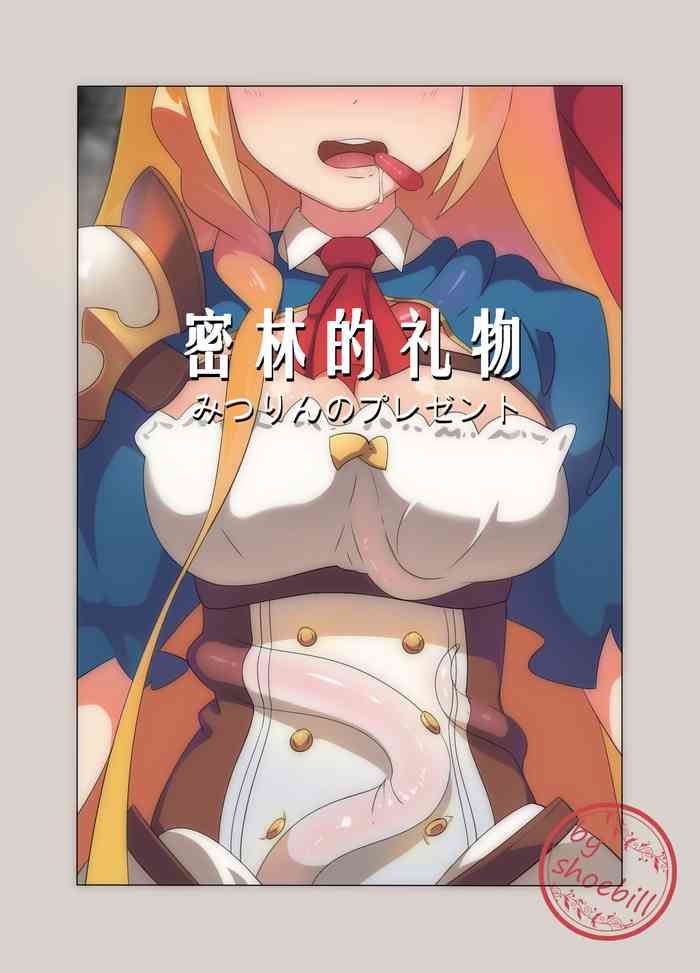 [ 灰鸟 shoebill ] みつりんのプレゼント (プリンセスコネクト!Re:Dive) [中国語]