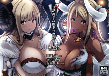 [はくせん (おぱんちゅ)] 世話好きな雌ドラフたち (グランブルーファンタジー) [中国翻訳] [DL版]