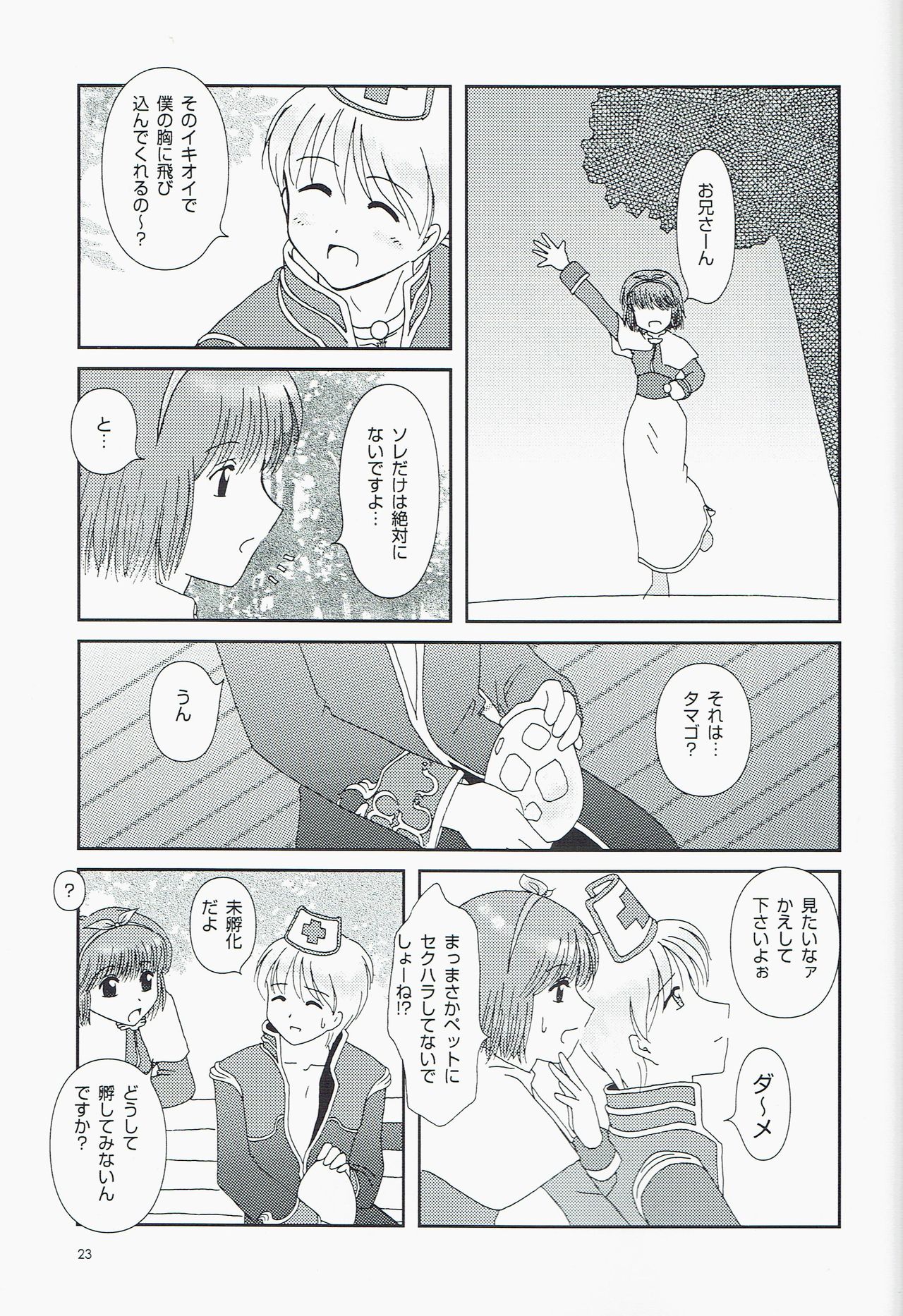 (C66) [Custard (はるなあい)] Private Notes (ラグナロクオンライン)