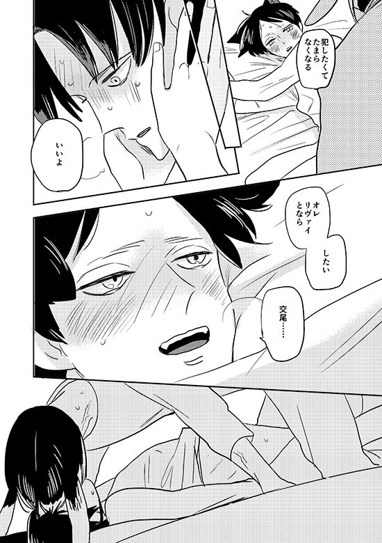 [OUTRO (さく)] 俺の狼 (進撃の巨人) [DL版]