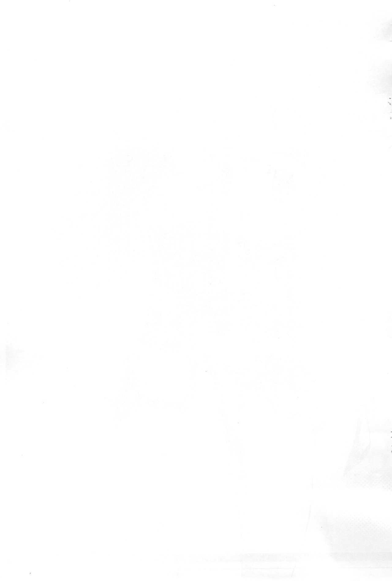 (C69) [スタジオらっきょう (鷹勢優)] 不完全年少11 (ふしぎ星の☆ふたご姫)