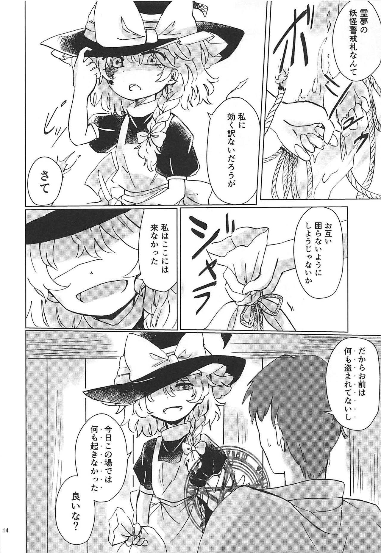 (例大祭16) [AM:TIGER (とらん)] 野魔法使いの泥棒稼業 (東方Project)