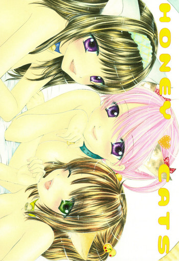 (C75) [BEAT-POP (尾崎未来)] HONEY CATS [英訳]