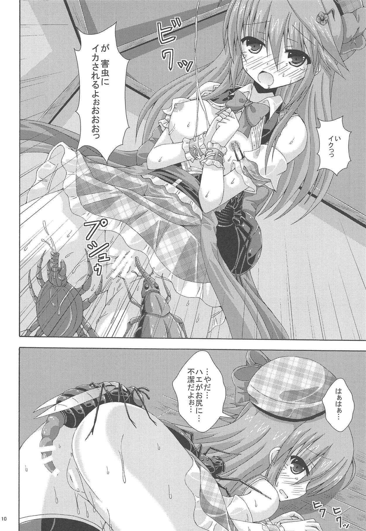 (C95) [ドリームプロジェクト (夢ノ紫也)] 害虫達の光華祭 (フラワーナイトガール)