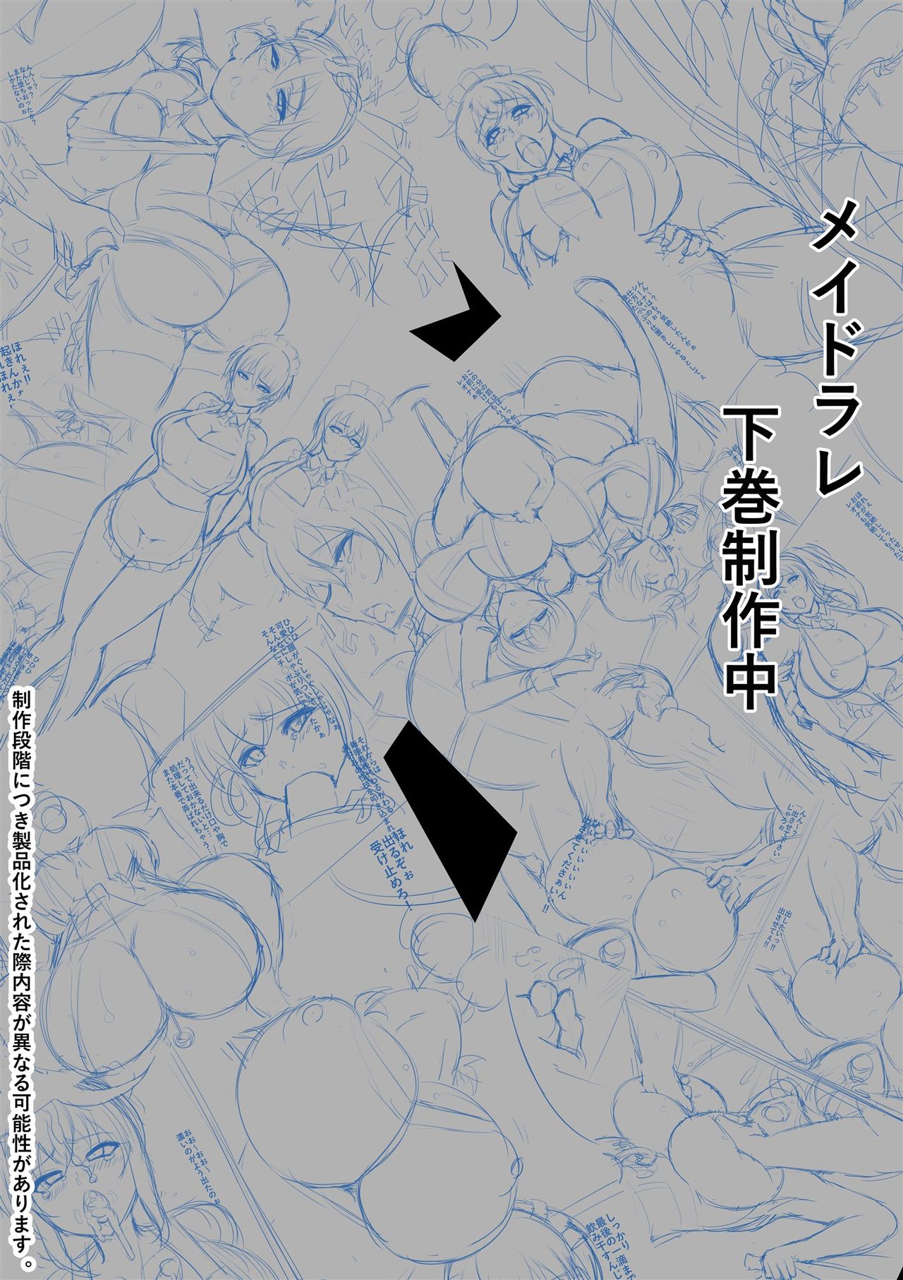 [猫八営業部 (猫サム雷)] メイドラレ上