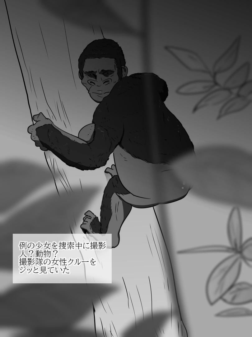 [フレイア] ジャングルで消えた少女