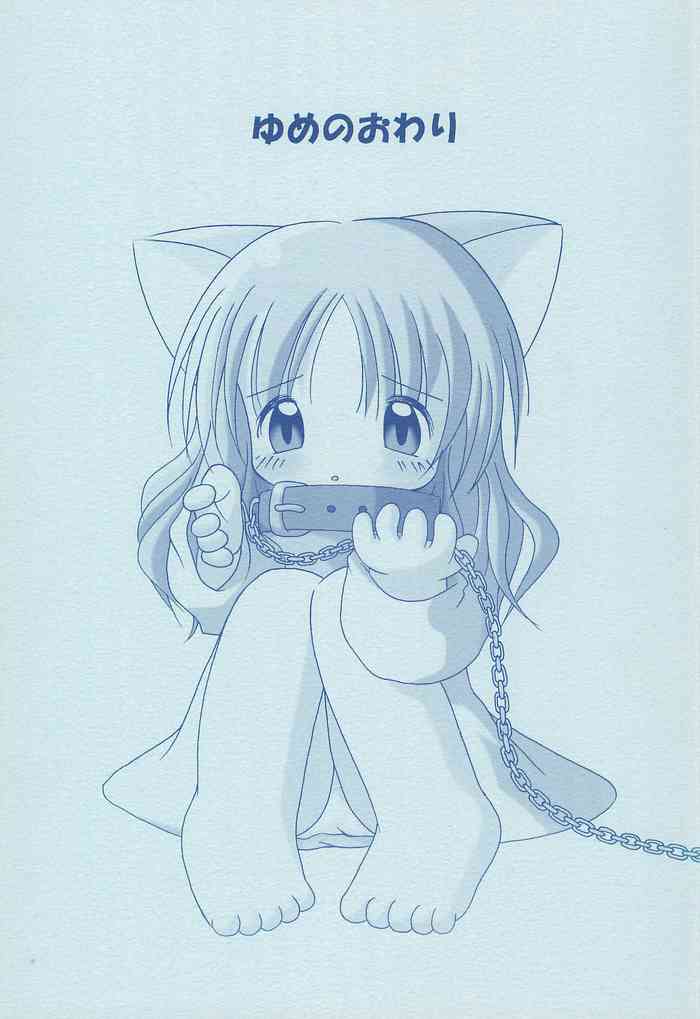 (コミティア65) [ぷにぷにどんぶり (せいきち)] ゆめのおわり