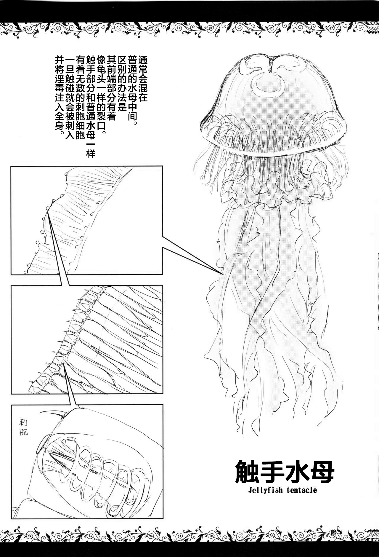 (コミティア124) [カメムシ (神鳴る冬)] 触手図鑑 [中国翻訳]