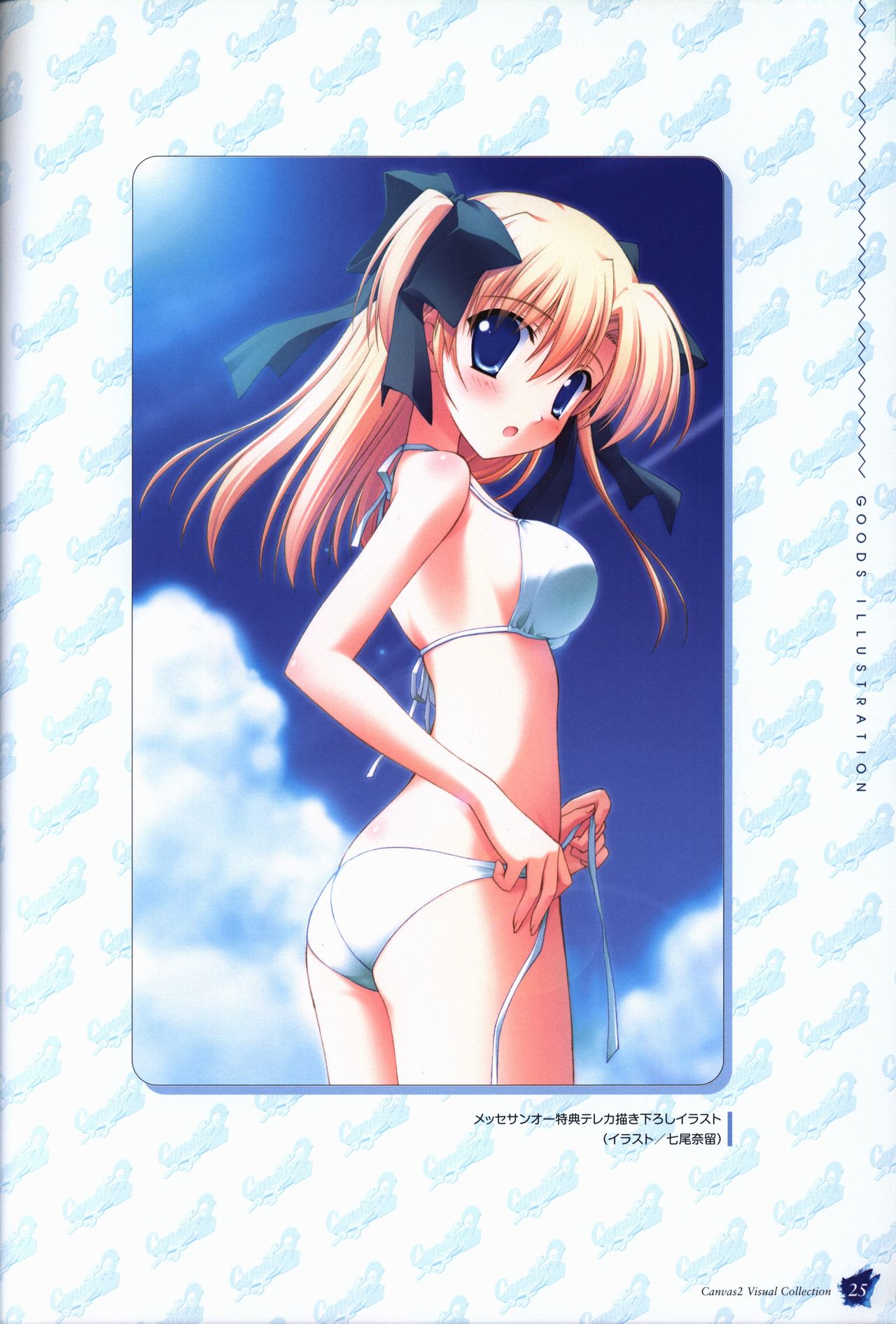 CANVAS2 ビジュアルコレクション