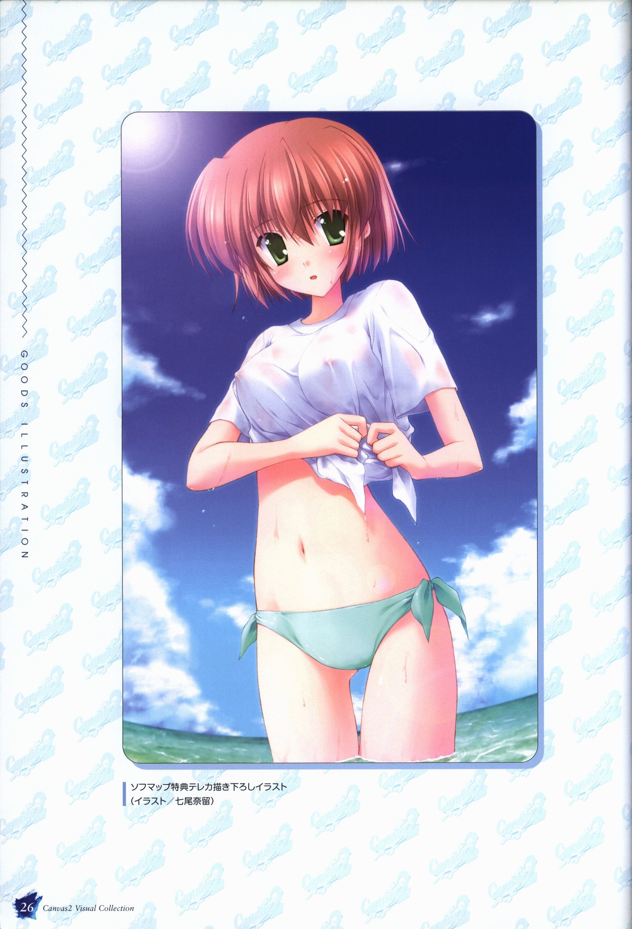 CANVAS2 ビジュアルコレクション