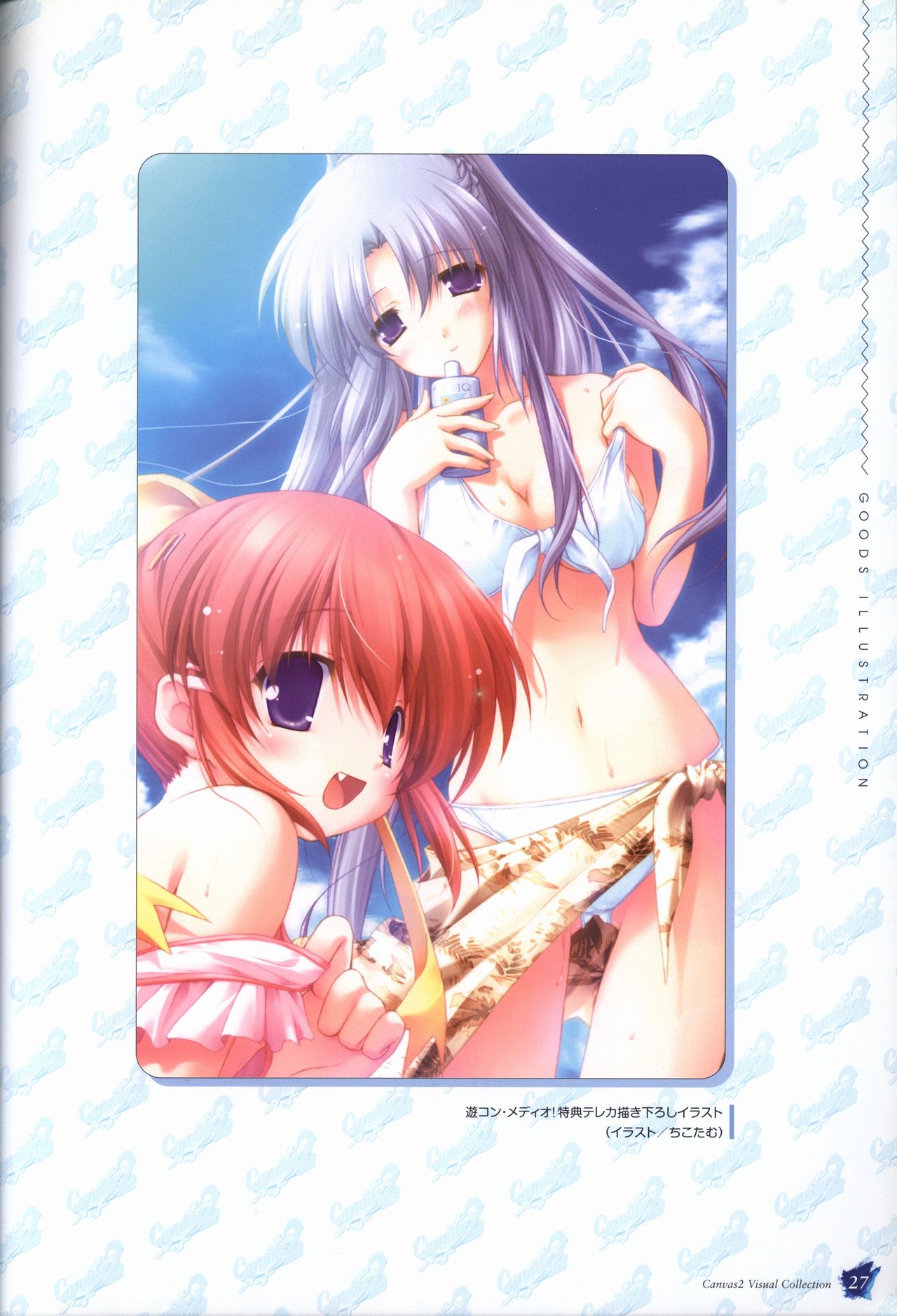 CANVAS2 ビジュアルコレクション