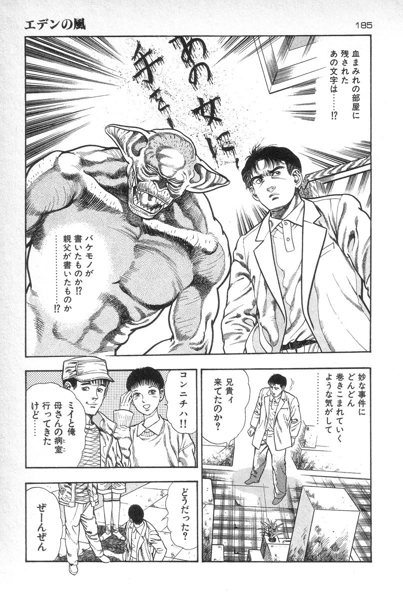 [前田俊夫] エデンの風