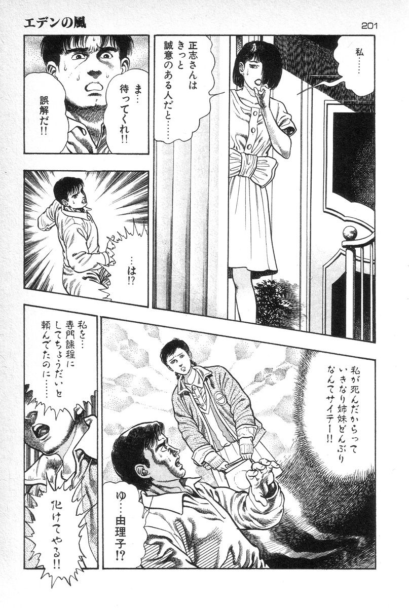 [前田俊夫] エデンの風
