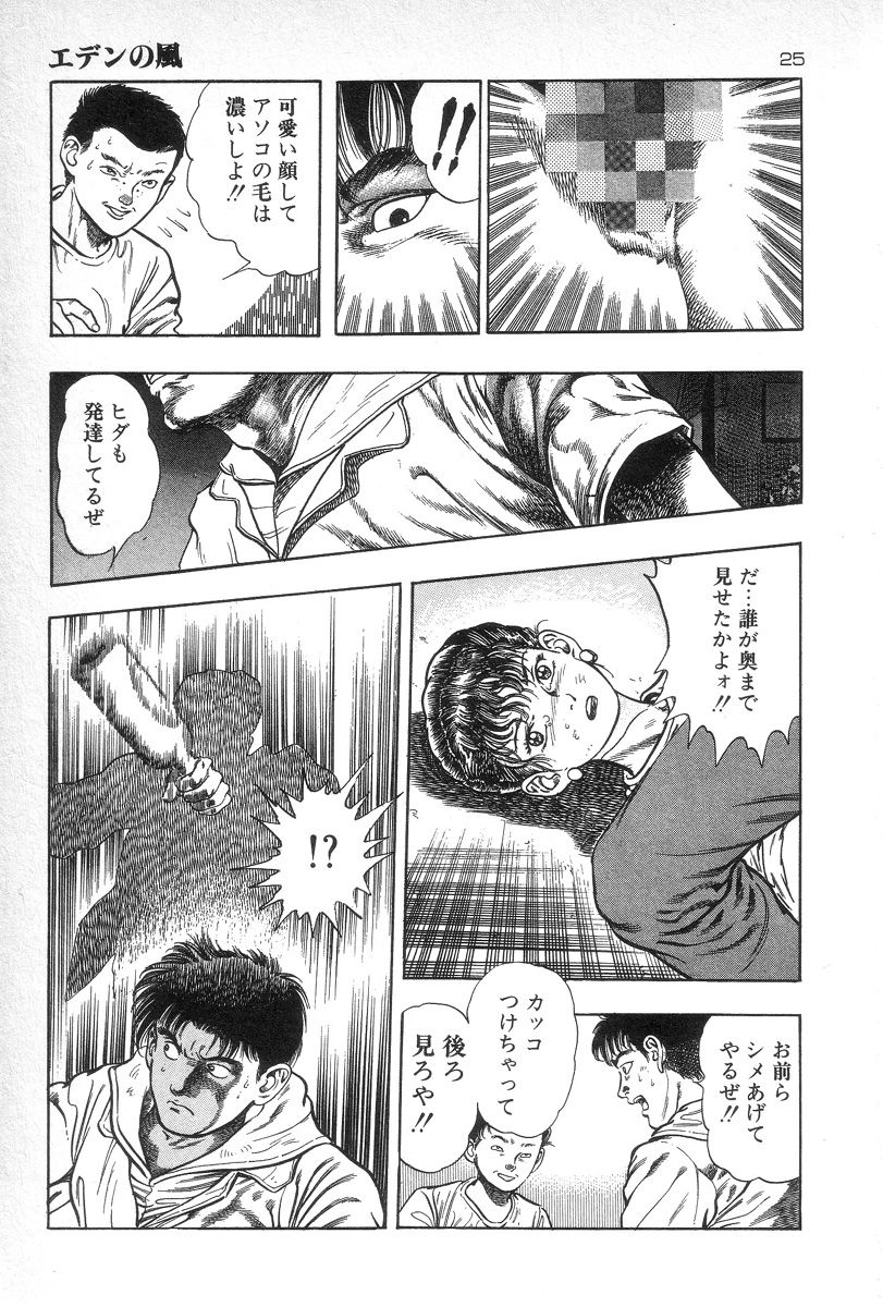 [前田俊夫] エデンの風