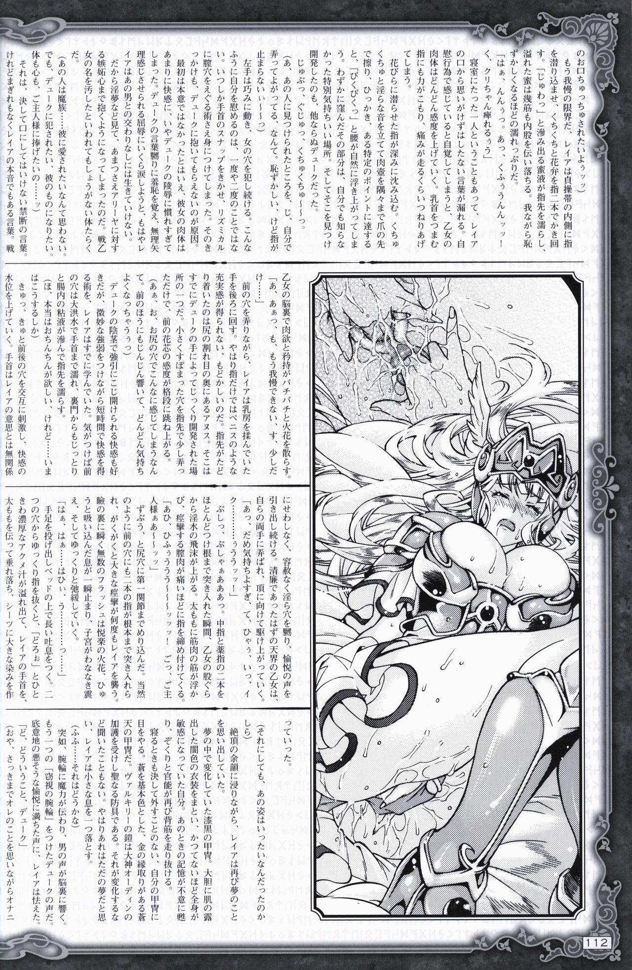 戦乙女ヴァルキリーG 戦乙女調教ファイル