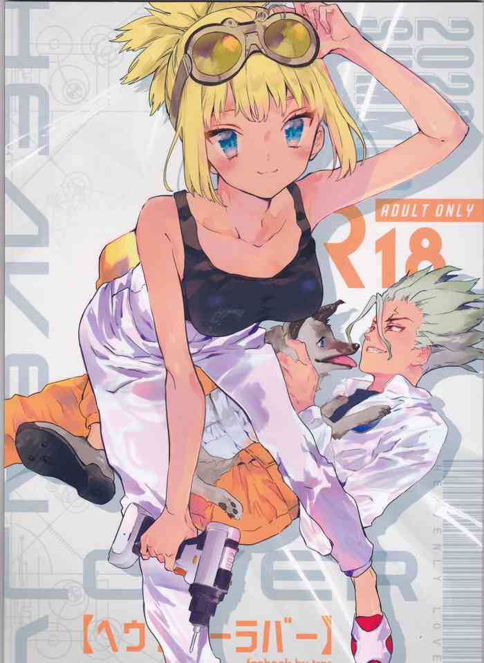 (The ROCK) [tcnc (芹澤ナエ)] HEAVENLY LOVER (Dr.STONE)